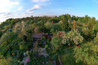 Rodzinny Ogród Działkowy Kadzielnia w Kielcach