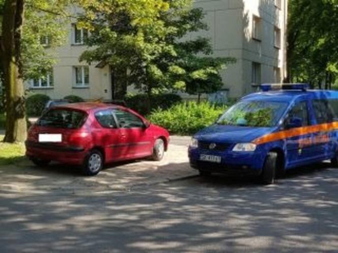 Mistrzowie parkowania w Katowicach. Zobacz unikatowe zdjęcia Straży Miejskiej