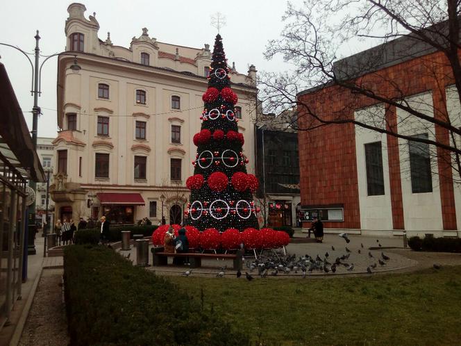 Choinka na placu Wszystkich Świętych