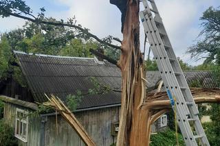 Potężne nawałnice przeszły przez powiaty brzeski i bocheński