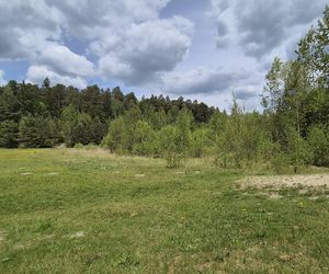 Stadion Leśny w Olsztynie dawniej i dziś. To tam bito rekordy świata w lekkiej atletyce