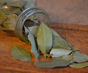 Czarodziejska roślina z kuchni. Odpędza pecha i przyciąga szczęście. Poznaj magiczną moc liści laurowych 