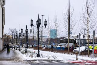 Nowe drzewa i krzewy na placu Bankowym w Warszawie, grudzień 2023 r.