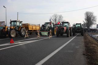 W Polsce nie da się żyć ze świni