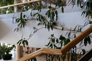 Kieleckie Centrum Kultury - zdjęcia. Zobacz piękne wnętrza