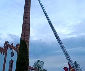 Bocian wpadł do 24-metrowego komina. Strażacy ratowali go 3 godziny [ZDJĘCIA]. 