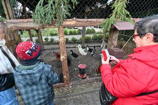 Żywa szopka w Szczecinie