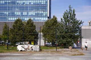 Uprzątnięta działka po Parku Miniatur Województwa Mazowieckiego w Warszawie