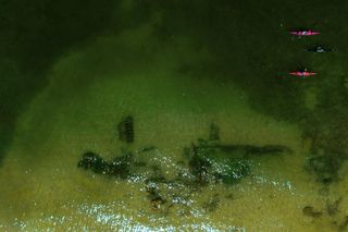 III nagroda w konkursie Śląska Fotografia Prasowa 2024