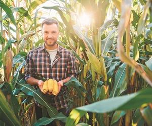 Niskie ceny w skupie zabierają ci zyski? Zrzeszenie się może pomóc odzyskać nawet 90% wartości plonów