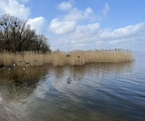 Kąpielisko i Jezioro Dąbie