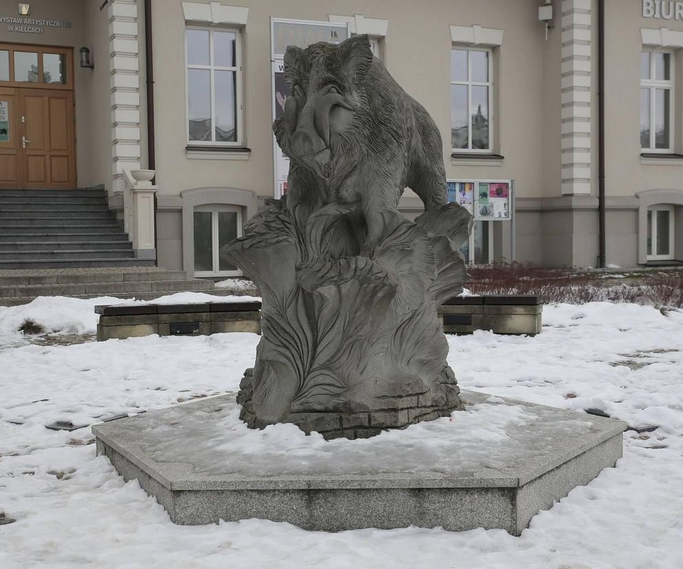 Dzik jednym z symboli Kielc! Ma nawet swój pomnik w centrum