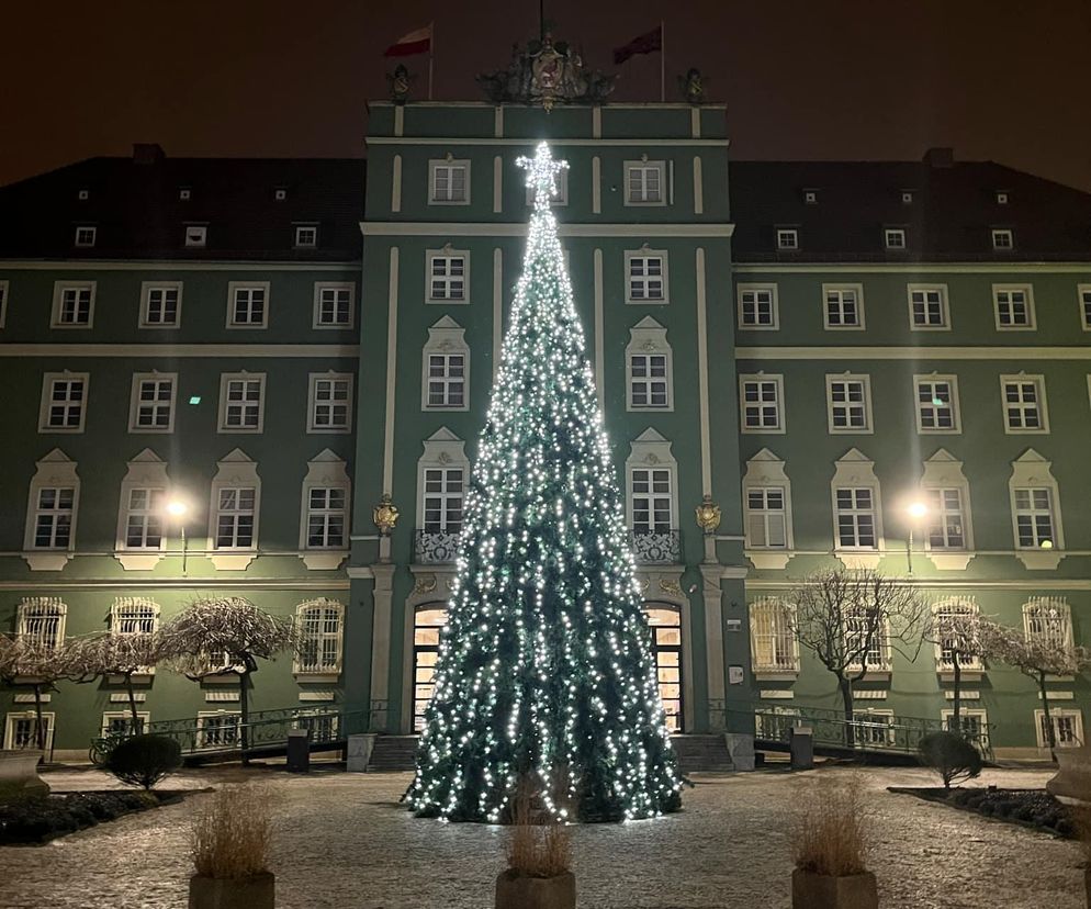 Świąteczna choinka przed Urzędem Miasta w Szczecinie