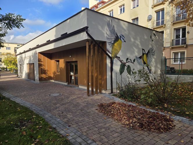 Jesień w Ogrodzie Botanicznym UKW. To ostatnia szansa na spacer wśród złotych liści!