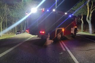 Śmiertelny wypadek pod Białą Podlaską! Nie żyje 48-latek z mercedesa [ZDJĘCIA].