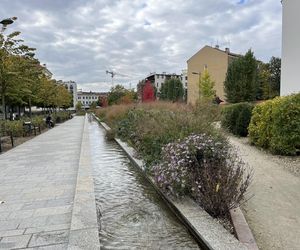 Park im. Wisławy Szymborskiej w Krakowie