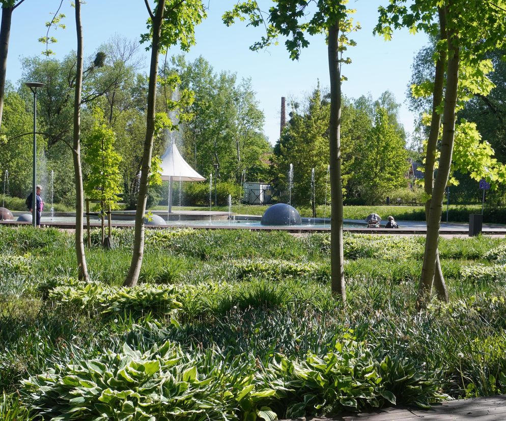 To najpiękniejszy park miejski w Olsztynie według AI. Ma 13 hektarów!
