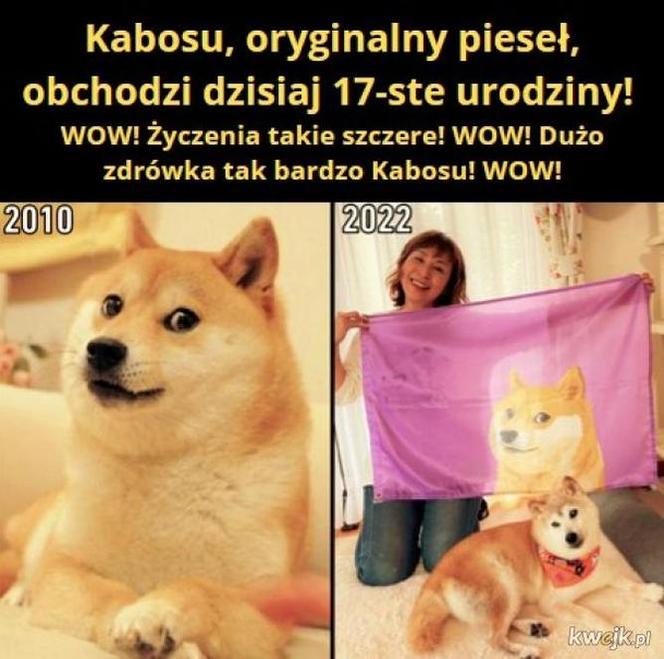 Kabosu