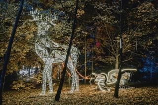 Park Iluminacji Lumina Park przy Zamku Topacz