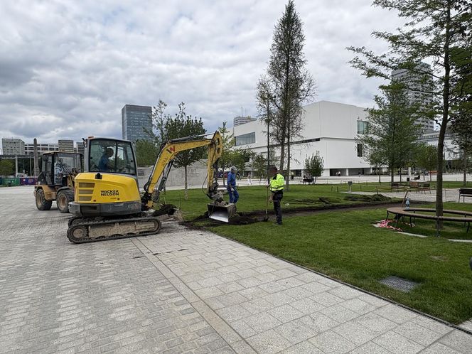 Absurd roku w Warszawie. Zrywają zieleń na nowym pl. Centralnym. Zamiast niej będzie beton