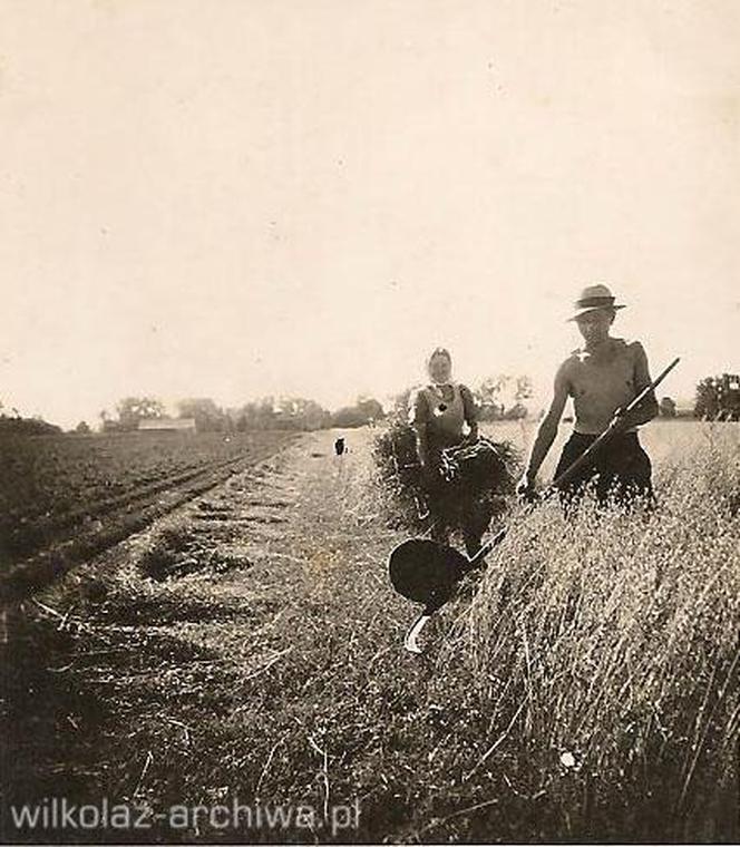 Wilkołaskie żniwa w I połowie XX wieku