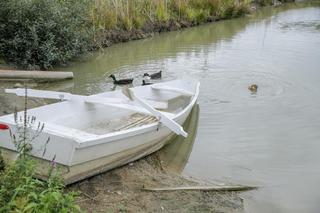 Jak mieszka Wojciech Modest Amaro?