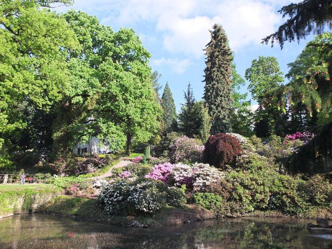 To raj dla miłośników przyrody! Kiedy otwarcie Arboretum pod Wrocławiem?