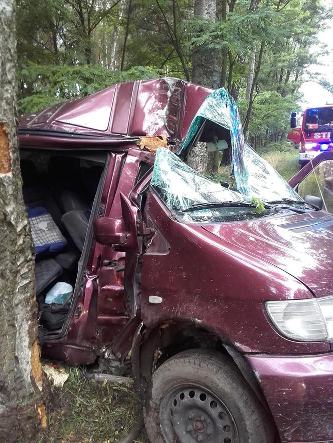 Groźny wypadek na drodze z Poznania [ZDJĘCIA]