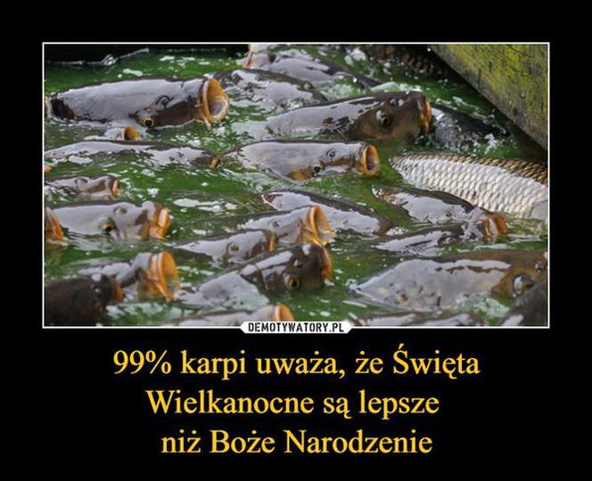 Wielkanoc 2022 - najlepsze memy