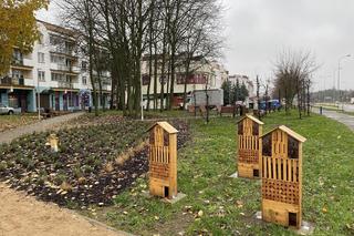 Tak wygląda Lawendowy Park Kieszonkowy. Bedzie kolejne kultowe miejsce na mapie Białegostoku?