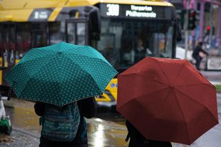  Deszcz, mżawka i silny wiatr. Jesień nas nie rozpieszcza. Gdzie będzie najgorzej? [Prognoza IMGW na 11.10.2025]