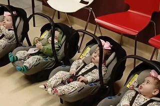 Rodzina pięcioraczków z Horyńca pędziła do lekarza! Pokonali 100 kilometrów