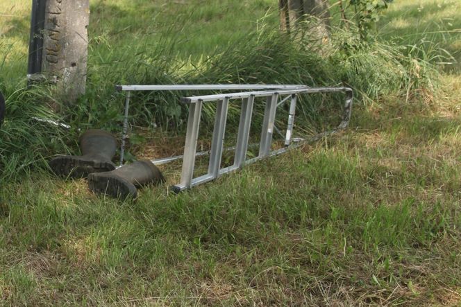 Ratował boćka na słupie, spadł z drabiny