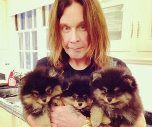 Ozzy Osbourne naprawdę to zrobił! Nietoperz był tylko początkiem