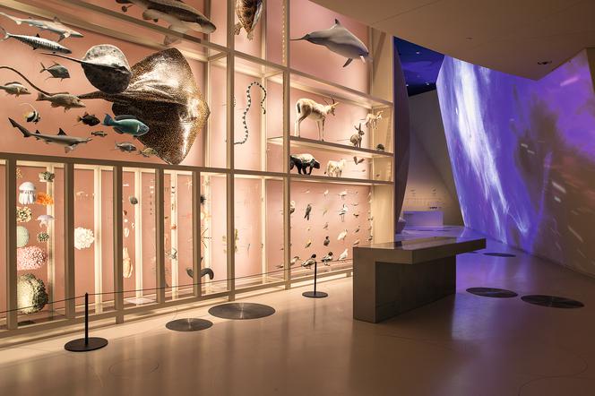 Narodowe Muzeum Kataru_Ateliers Jean Nouvel_42