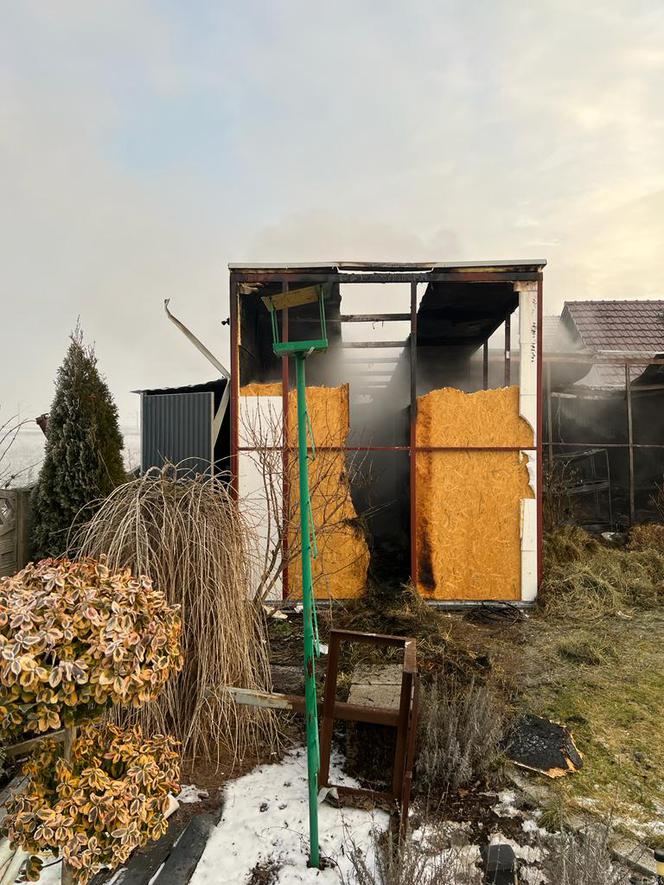 Kilkadziesiąt królików spłonęło w pożarze w Czempiniu