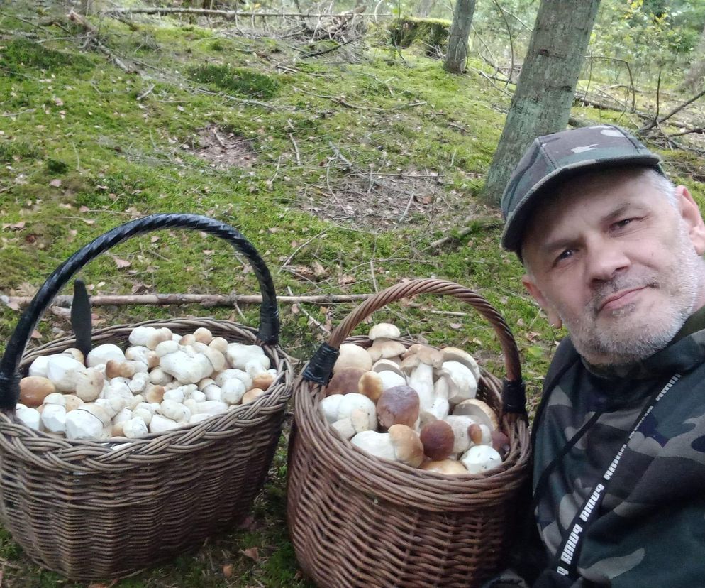 Pełen kosz grzybów. Takie łowy w starachowickich lasach