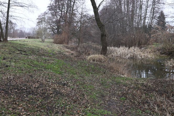 Spacer doliną Bystrzycy na lubelskim Wrotkowie