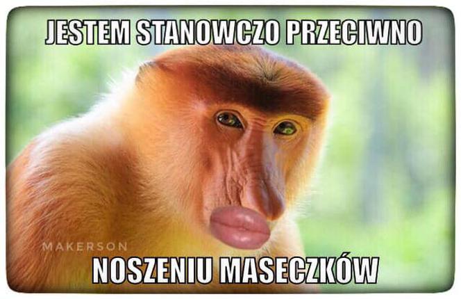 Memy o koronawirusie