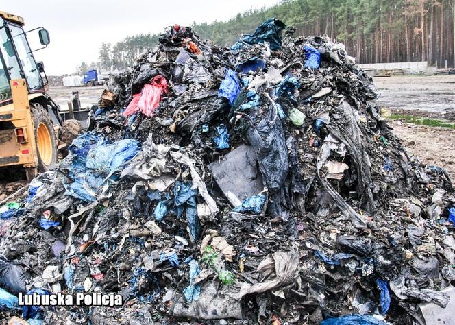 Zorganizowana grupa przestępcza zakopywała odpady w Przemęckim Parku Krajobrazowym