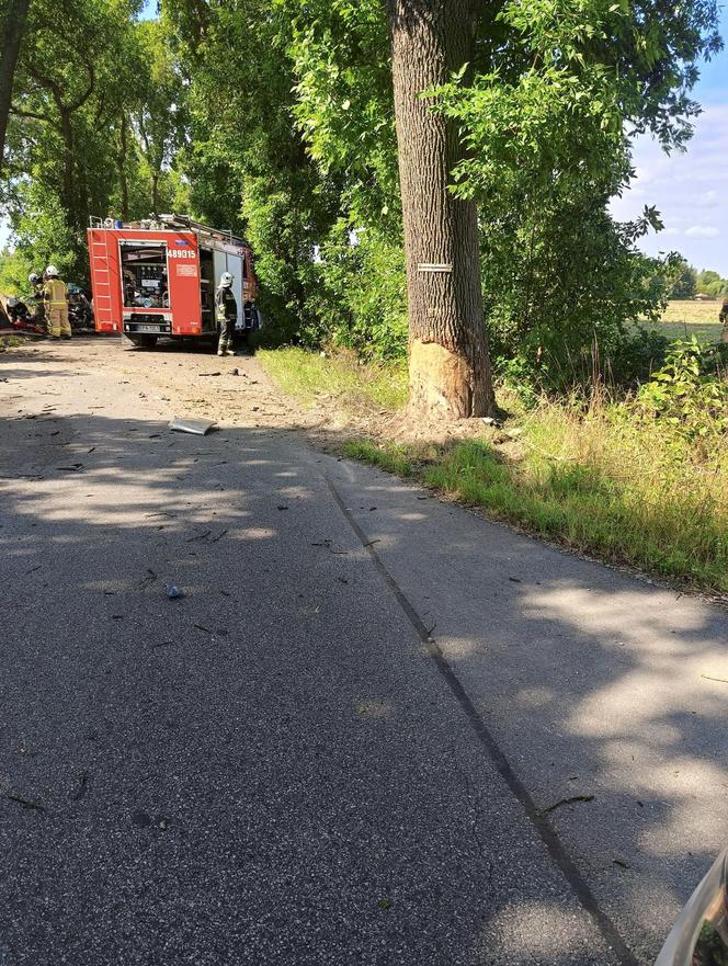 Wypadek pod Pabianicami. Mercedes rozpadł się na pół po uderzeniu w drzewo [ZDJĘCIA].