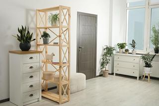 Przedpokój na wiele sposobów