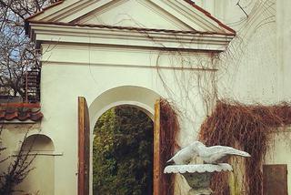 Tajemnice bielańskich kamedułów [ZDJĘCIA DNIA]