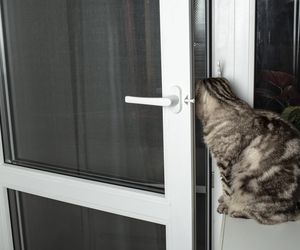 Siatka na balkon dla kota - rodzaje