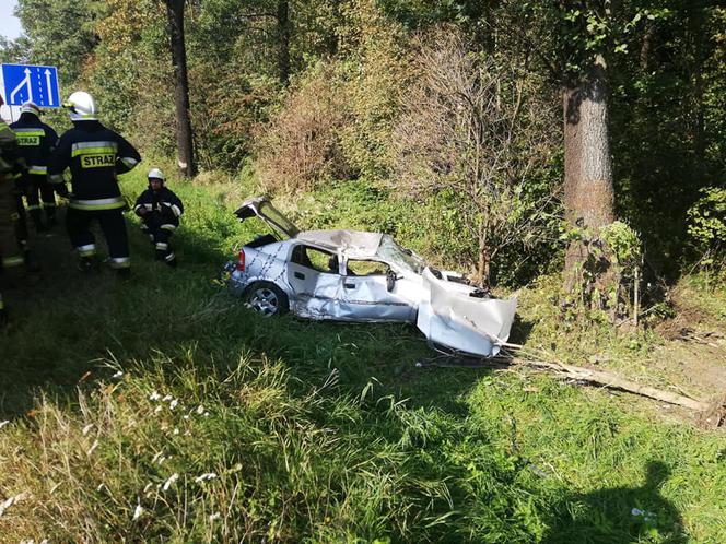 Koszmarny wypadek pod Łodzią. Kierowca stracił przytomność