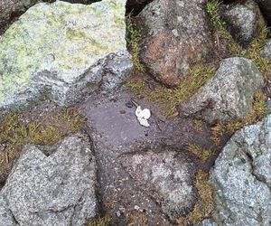 Morskie Oko zaśmiecone jak nigdy. To sprawka turystów. TPN opublikował zdjęcia.