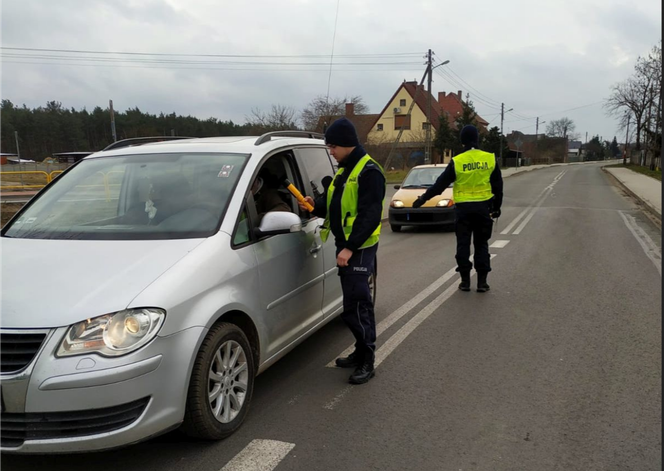 Pijani i naćpani za kierownicą! Dramat na drogach Zielonej Góry