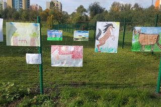 Pastwisko dla koni w Sosnowcu