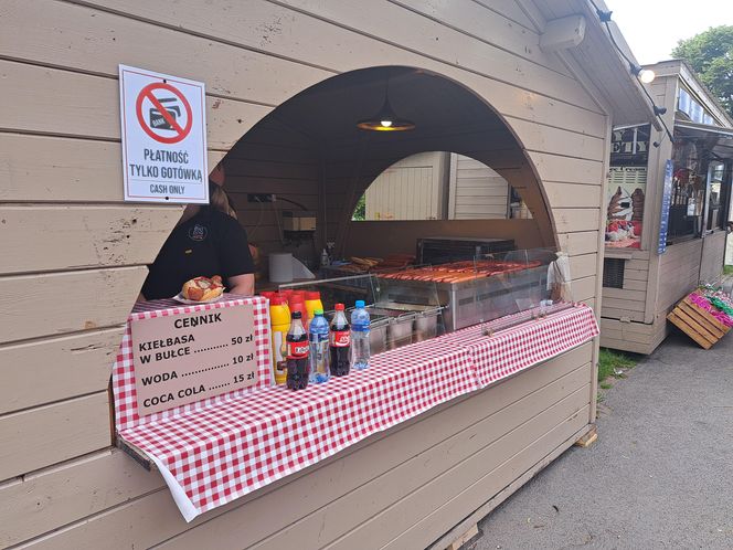 Smoczy Piknik Rodzinny 2025 w Krakowie