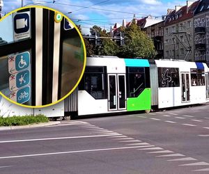 Nowe oznaczenia na tramwajach i autobusach. To zapowiedź dużych zmian. Już nie będzie niedomówień